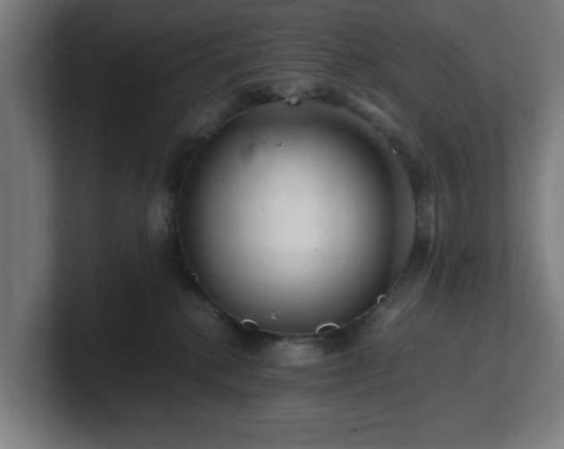 X0000101710280200807171542