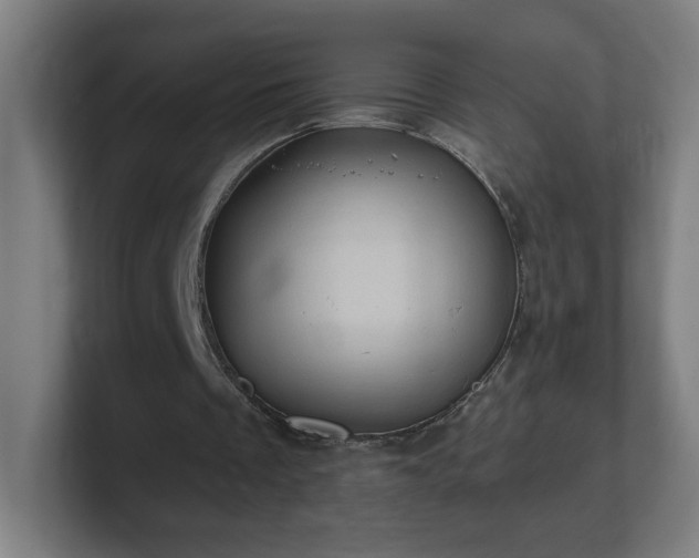 X0000101710289200807171541