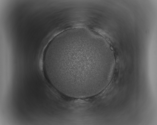 X0000101710290200807171541