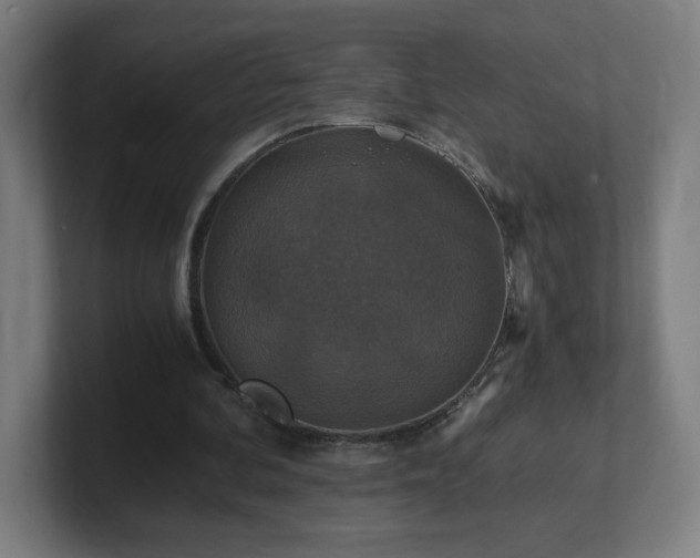 X0000101710292200807171541