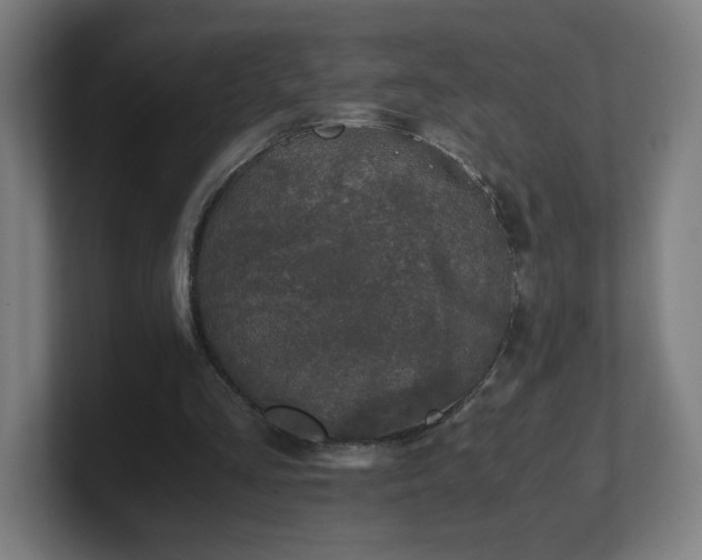 X0000101710293200807171541