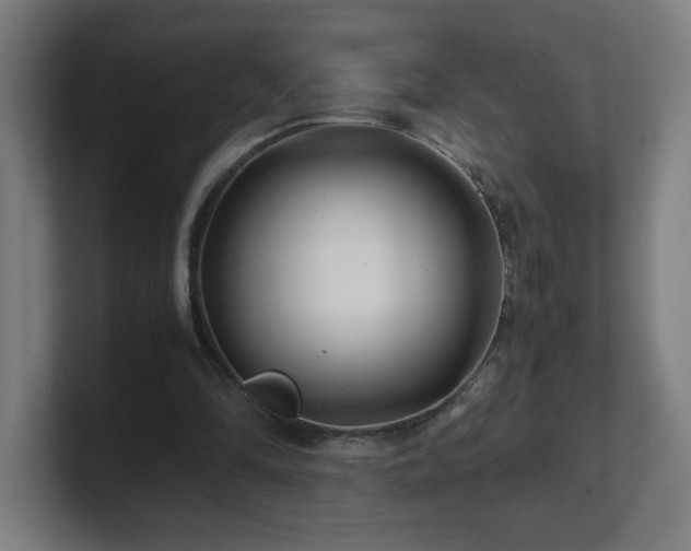 X0000101710294200807171541