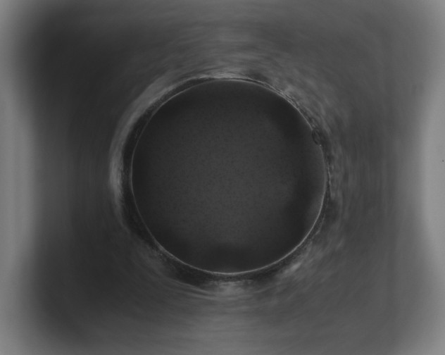 X0000101710295200807171541