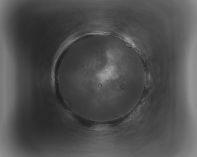 X0000101710296200807171541