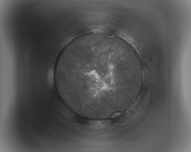 X0000101710297200807171541