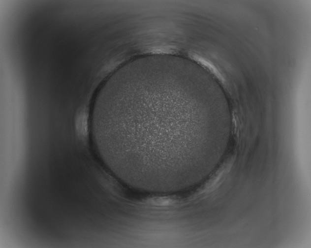 X0000101710299200807171541