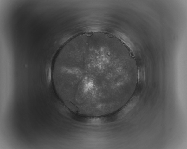 X0000101710301200807171541