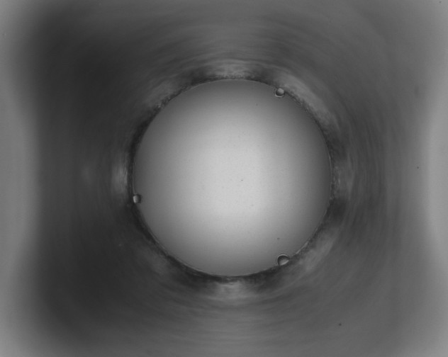 X0000101710309200807171541