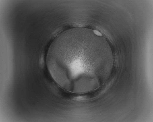 X0000101710312200807171541