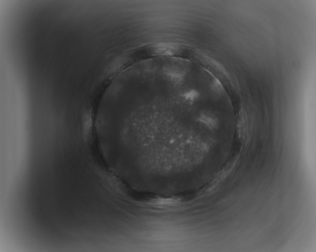 X0000101710314200807171541