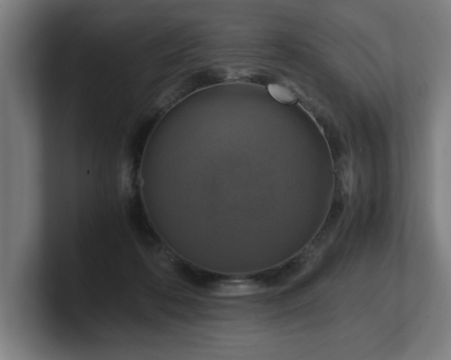 X0000101710316200807171541