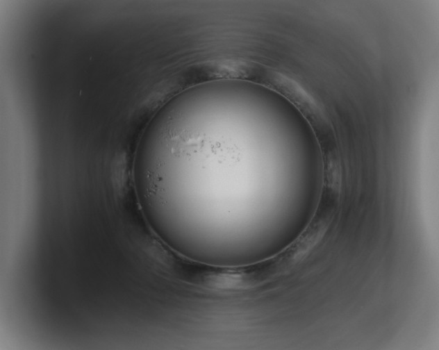 X0000101710318200807171541