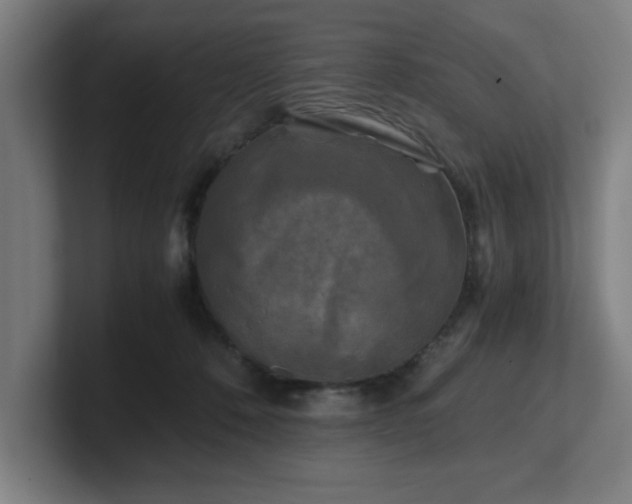 X0000101710320200807171541