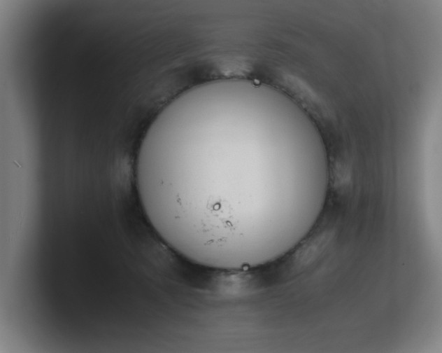 X0000101710321200807171541