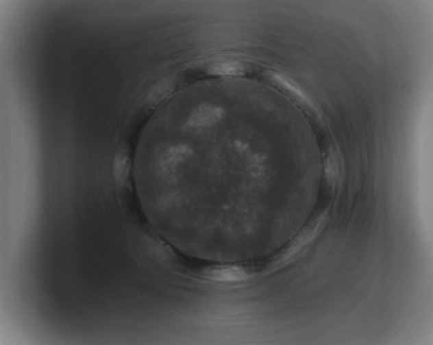 X0000101710322200807171541