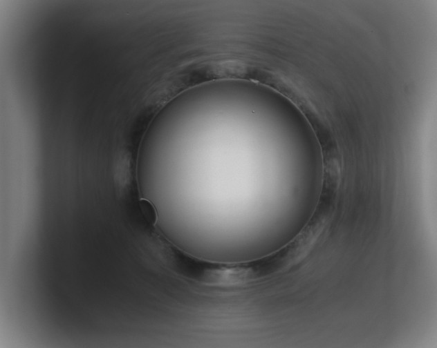 X0000101710323200807171541