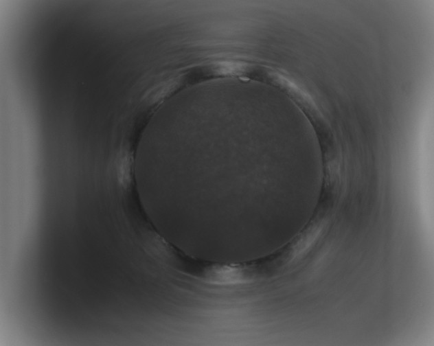 X0000101710325200807171541