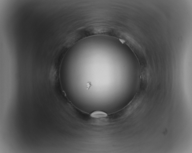 X0000101710327200807171541