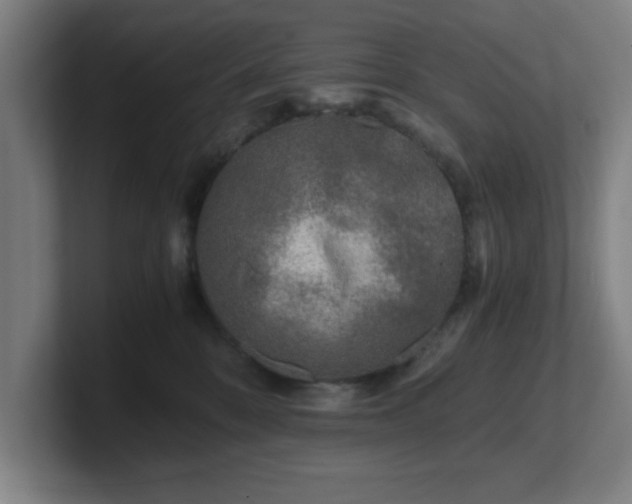 X0000101710328200807171541