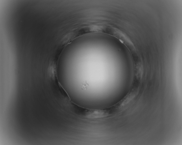 X0000101710329200807171541