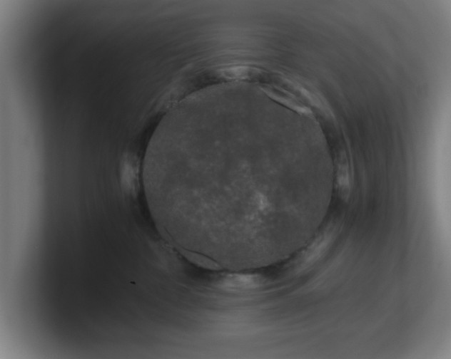 X0000101710332200807171541