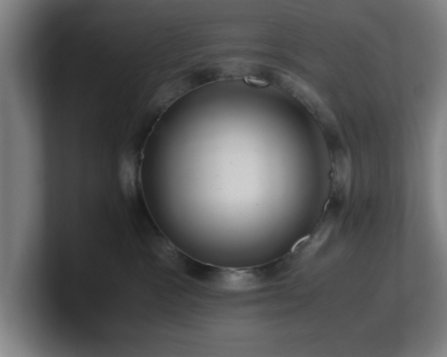 X0000101710333200807171541