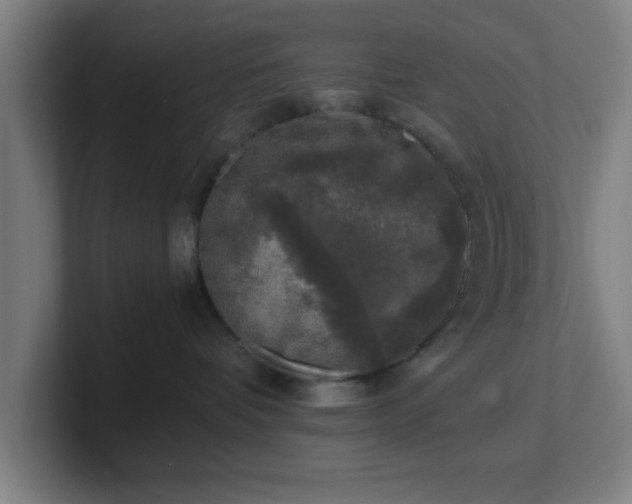 X0000101710336200807171541