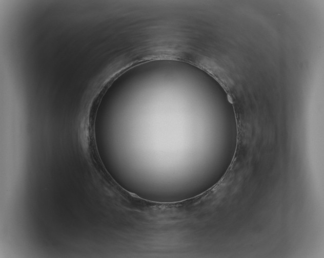 X0000101710338200807171540