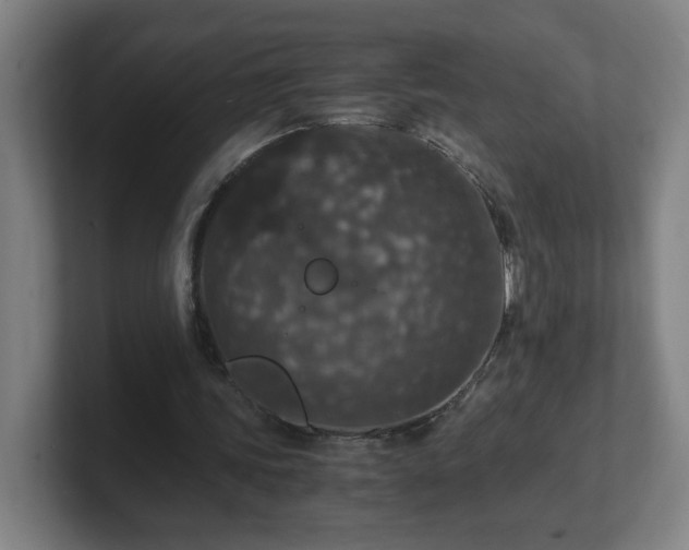 X0000101710339200807171540