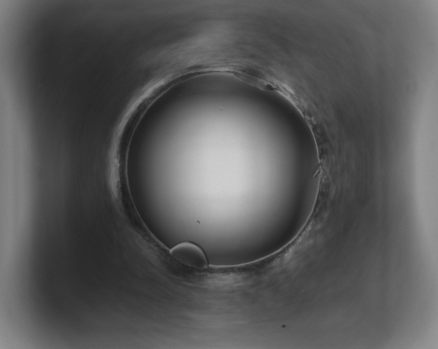 X0000101710342200807171540