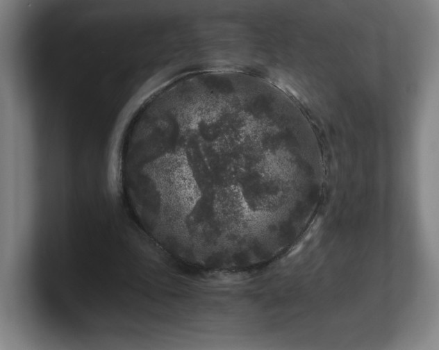 X0000101710343200807171540