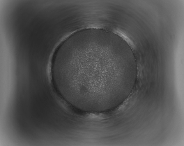 X0000101710346200807171540