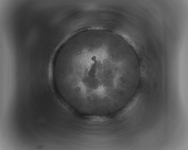 X0000101710347200807171540