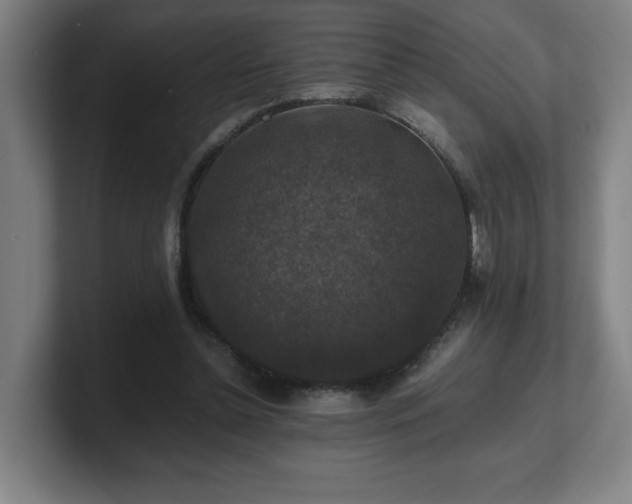 X0000101710348200807171540