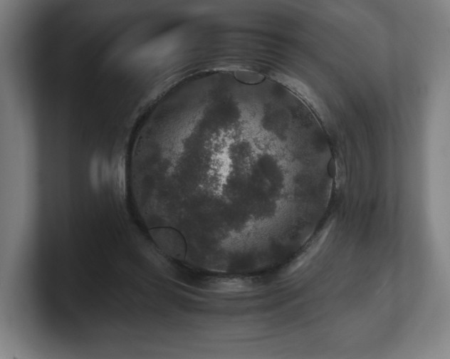 X0000101710349200807171540