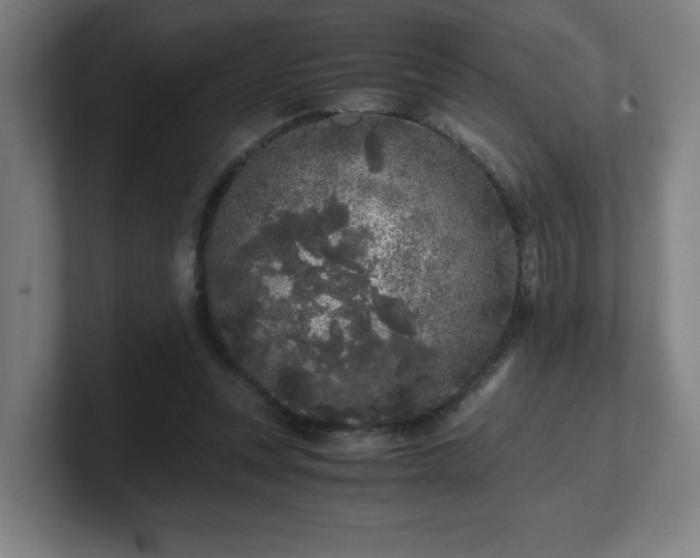 X0000101710351200807171540