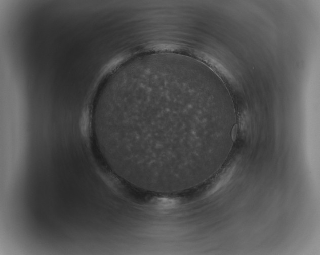 X0000101710352200807171540