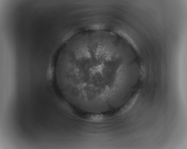 X0000101710355200807171540