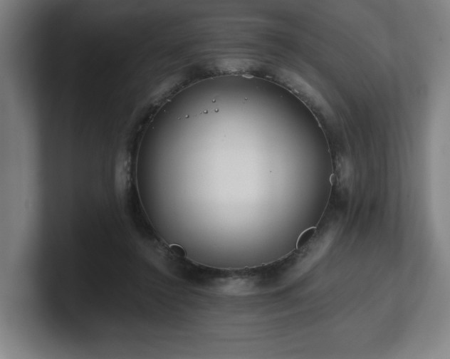 X0000101710356200807171540