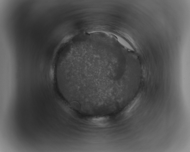 X0000101710357200807171540