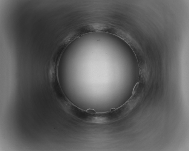 X0000101710360200807171540