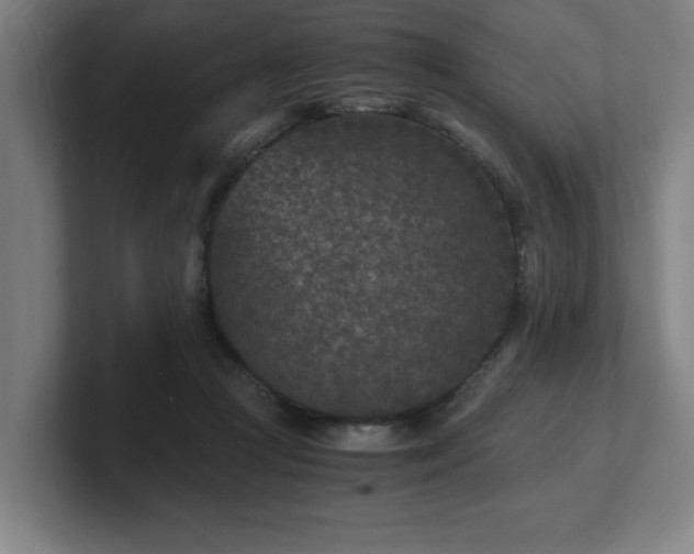 X0000101710361200807171540