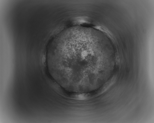 X0000101710365200807171540