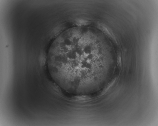 X0000101710367200807171540