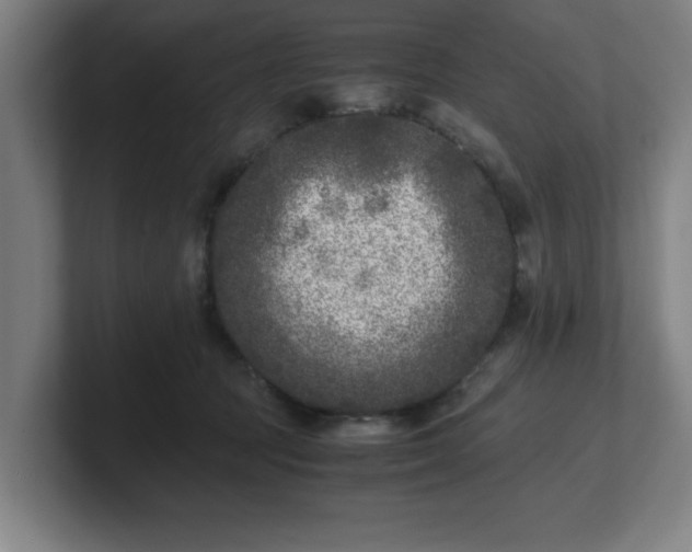 X0000101710369200807171541