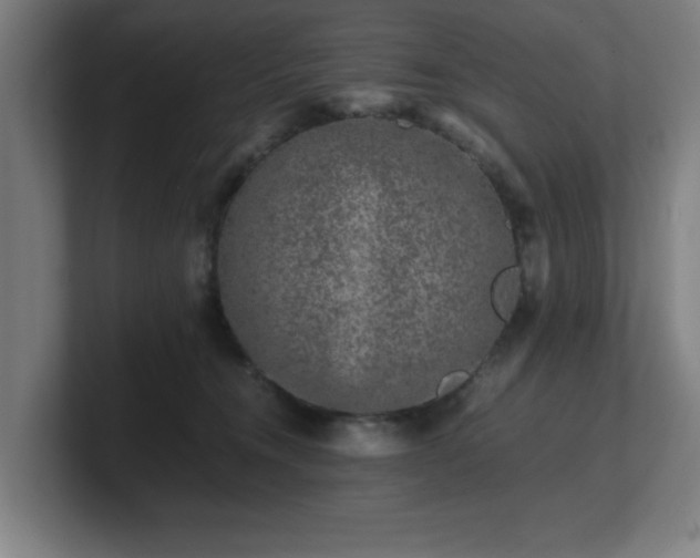 X0000101710372200807171541