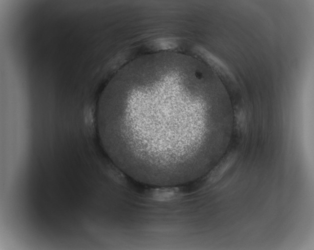 X0000101710373200807171541