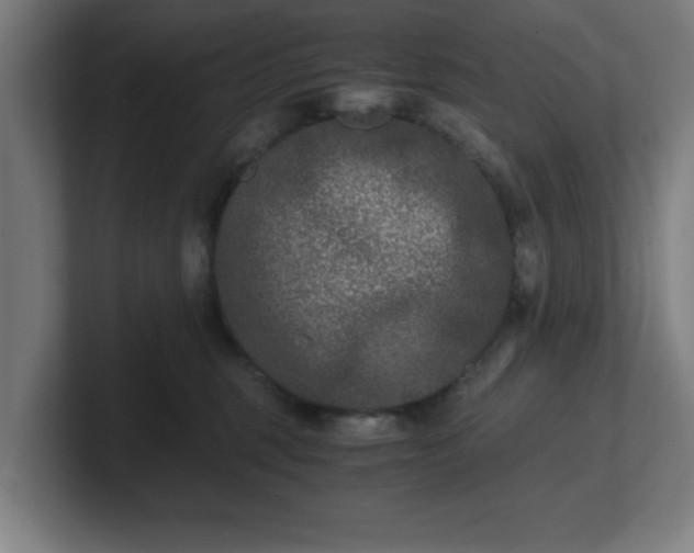 X0000101710375200807171541