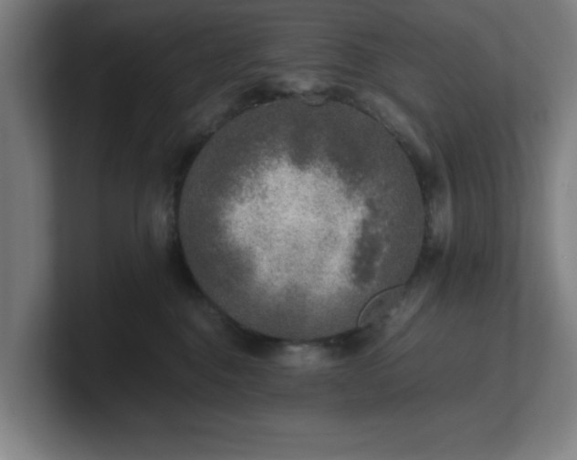 X0000101710376200807171541