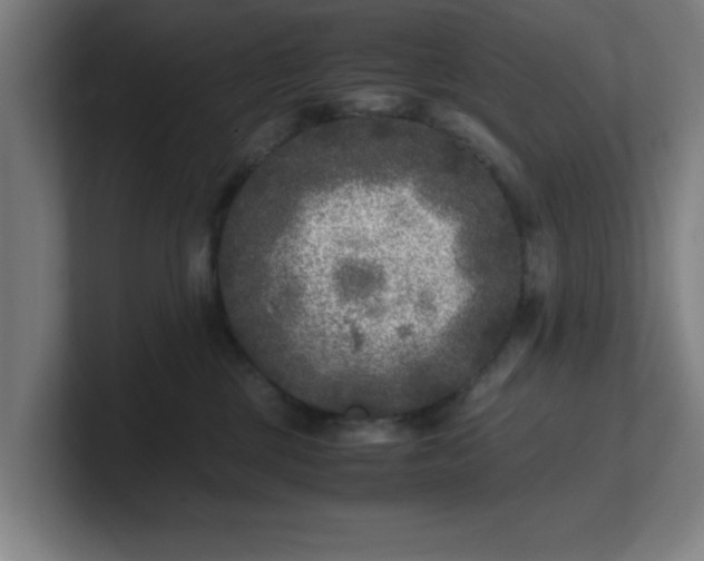 X0000101710377200807171541